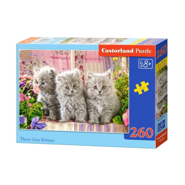 Castorland: Three Grey Kittens