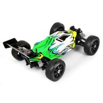 Pirate Snake - 4WD 1/10 XL RTR OFF ROAD Buggy