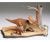 koop Chasmosaurus Diorama by TAMIYA for only € 22,25 in TAMIYA at Bliek Modelbouw, Bliek Modelbouw. Beschikbaar