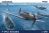  P-39K/L Airacobra EDUARD-WEEKEND in 1:48