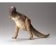 koop 1:35 Dino. Tyrannosaurus Rex by TAMIYA for only € 9,99 in Tamiya at Bliek Modelbouw, Bliek Modelbouw. Beschikbaar