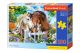 Castorland: Best Friends