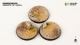 Deserts of Maahl - Round 50mm (x3)