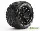 LOUISE, LT3203BH, Band met Velg MT-SPIDER 2.8