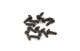 koop RUNDKOPFSCHRAUBE2X6MM by T2M for only € 0,00 in T2M at Bliek Modelbouw, Bliek Modelbouw. Beschikbaar