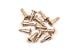 koop RUNDKOPFSCHRAUBE4X6MM by T2M for only € 0,00 in T2M at Bliek Modelbouw, Bliek Modelbouw. Beschikbaar