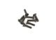 koop SenkblechschraubenM3x13mm by T2M for only € 0,00 in T2M at Bliek Modelbouw, Bliek Modelbouw. Beschikbaar